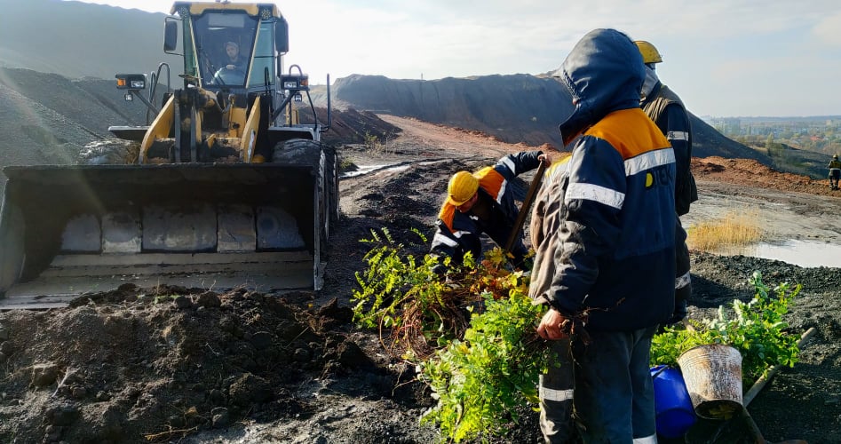 Dobropil’s’ka CEP employees continue planting trees on spoil tips.  5