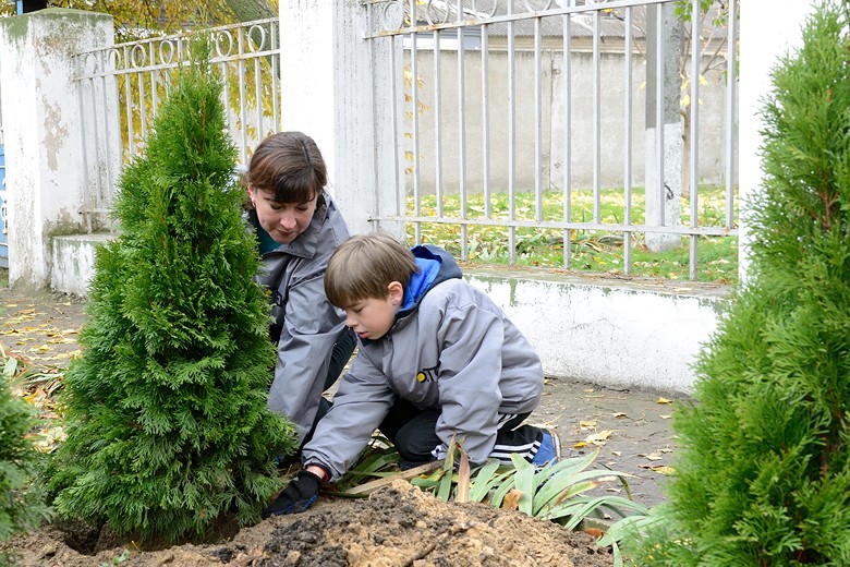 Завдяки енергетикам ДТЕК Зеленодольськ став зеленішим на 430 дерев