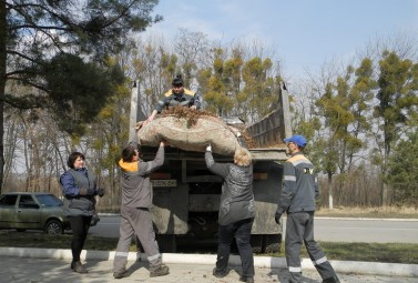 Працівники Ладижинської ТЕС зробили лісосмугу Ладижина чистішою на 5 машин сміття