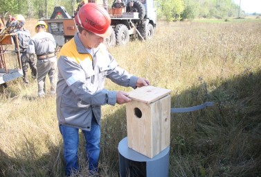 ДТЕК Дніпровські електромережі захищають рідкісні види птахів