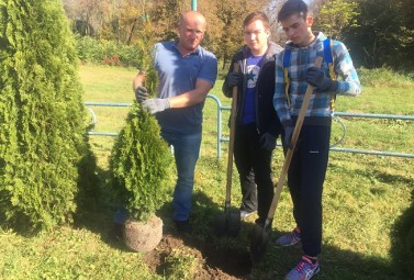 «Зелене місто» в Бурштині: містяни висадили 40 туй на могилі  борцям за волю України