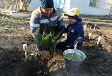 Волонтери ДТЕК Курахівська ТЕС створюють екзотичні зелені зони для міста