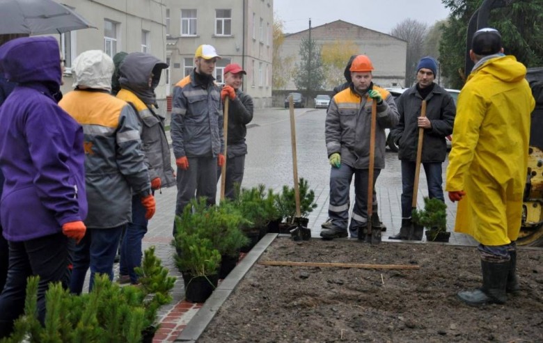 «Зелене місто» у Добротворі – енергетики висадили фруктовий сад та соснову алею