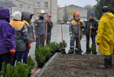 «Зелене місто» у Добротворі – енергетики висадили фруктовий сад та соснову алею