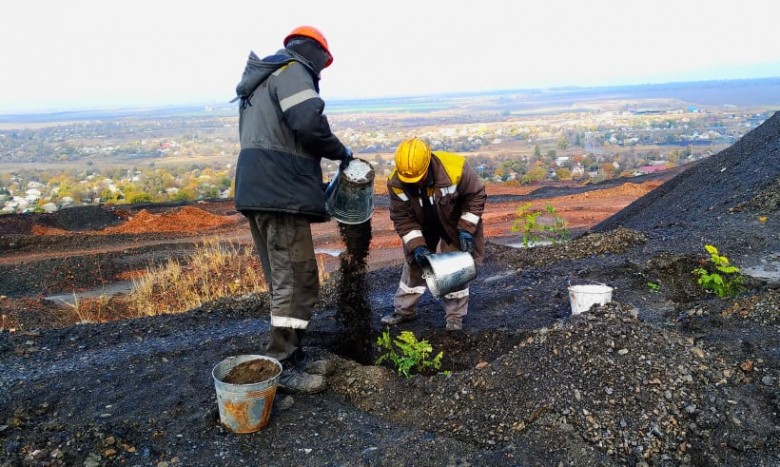 Dobropil’s’ka CEP employees continue planting trees on spoil tips