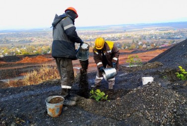 Dobropil’s’ka CEP employees continue planting trees on spoil tips