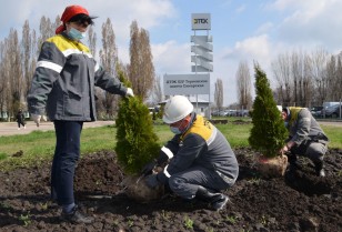 Шахтарі Західного Донбасу зробили світ навколо себе чистіше і зеленіше