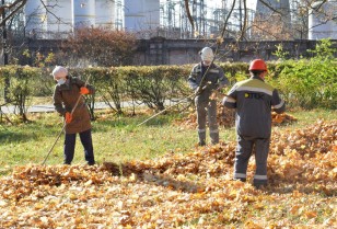 Cleanness through unity: Dobrotvir power engineers joined the Green City action