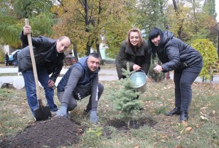 Волонтери ДТЕК Енерго висадили 800 дерев в рамках щорічної екологічної толоки «Зелене місто»