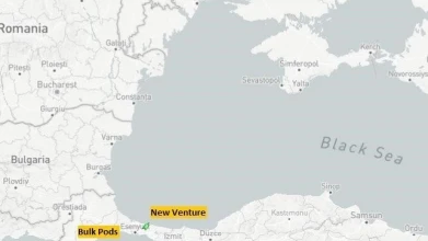 ДТЕК зустрічає чергові два судна «Панамакс» з 150 тис. т американського вугілля