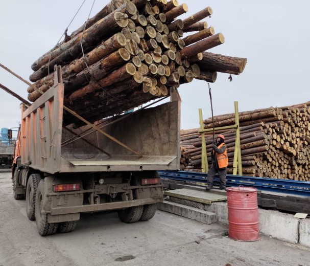 DTEK Energy Donates 4,000 Cubic Metres of Timber to Defenders at the Frontline for Fortifications and Heating