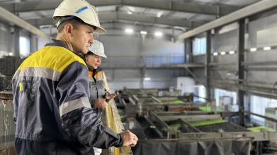 З початку року шахтарі ДТЕК Енерго ввели в роботу 14 нових вугільних лав, ще 12 лав планується